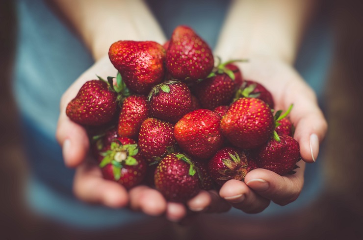 Unlocking the Secrets of British Fruit Seasons: Your Go-To Guide for Selecting Perfect Produce